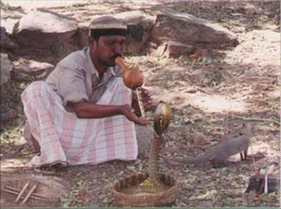 charmeurs de serpent inde